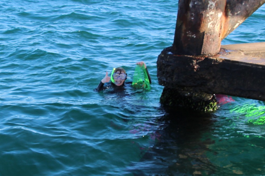 Afternoon tea, fresh from the sea. Also, snorkeling is sexy. Don't let anyone tell you different.