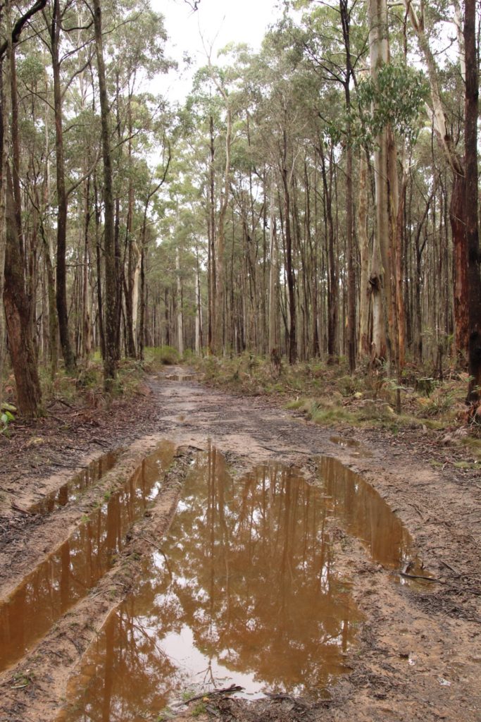 A little damp underfoot