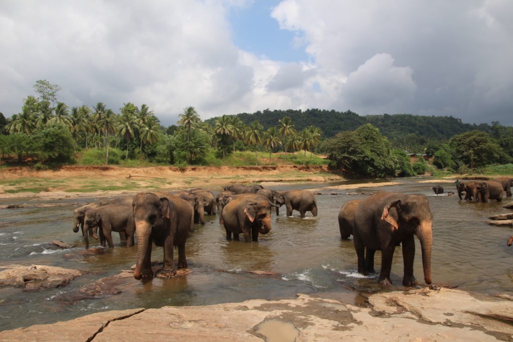 Bathing with an audience