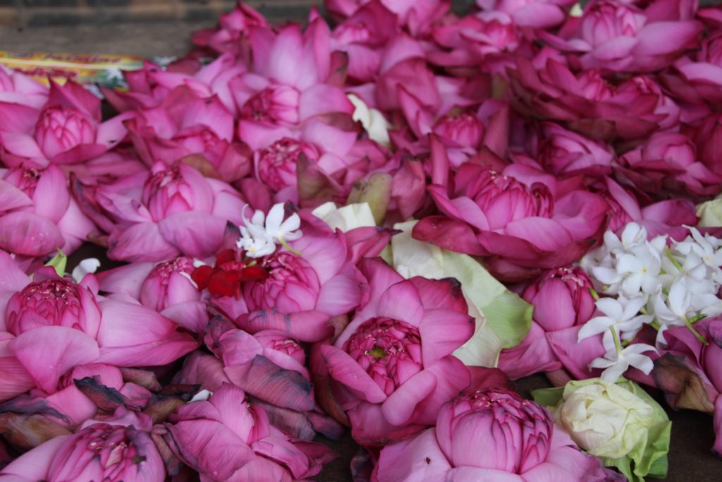 Offerings at the reclining Buddha, Gal Vihara