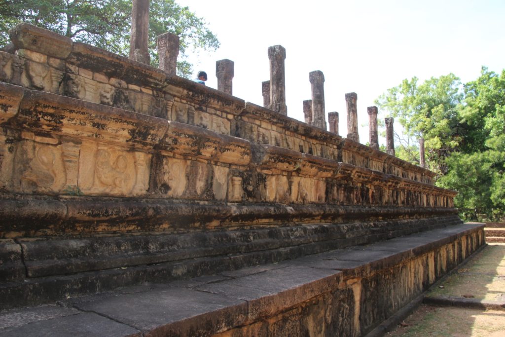 Audience hall walls with frieze of elephants