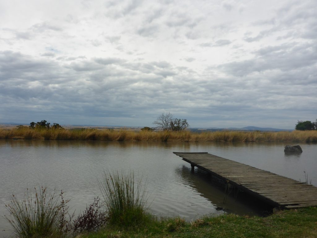 A pier without peer