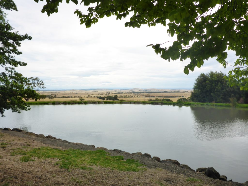 Catch of the day = having the pond with the best view all to ourselves.