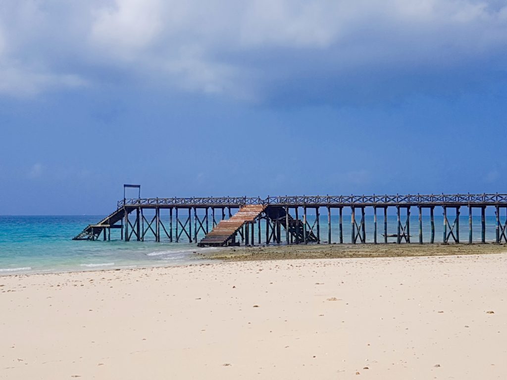 Pier- ing through the lens