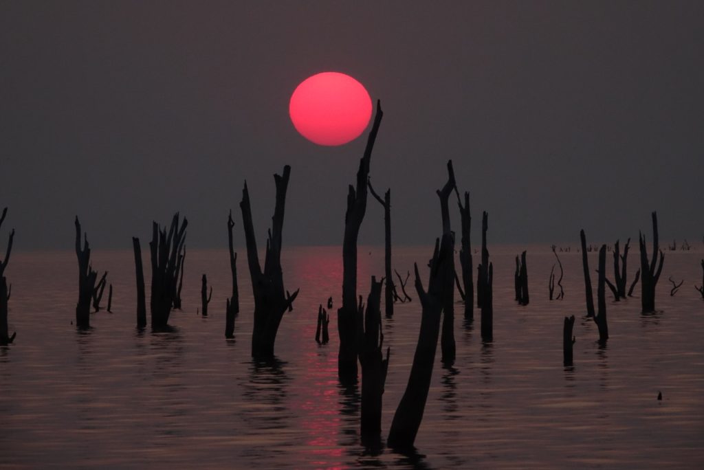 Holy shit is this a sunset or a very pretty apocolypse??